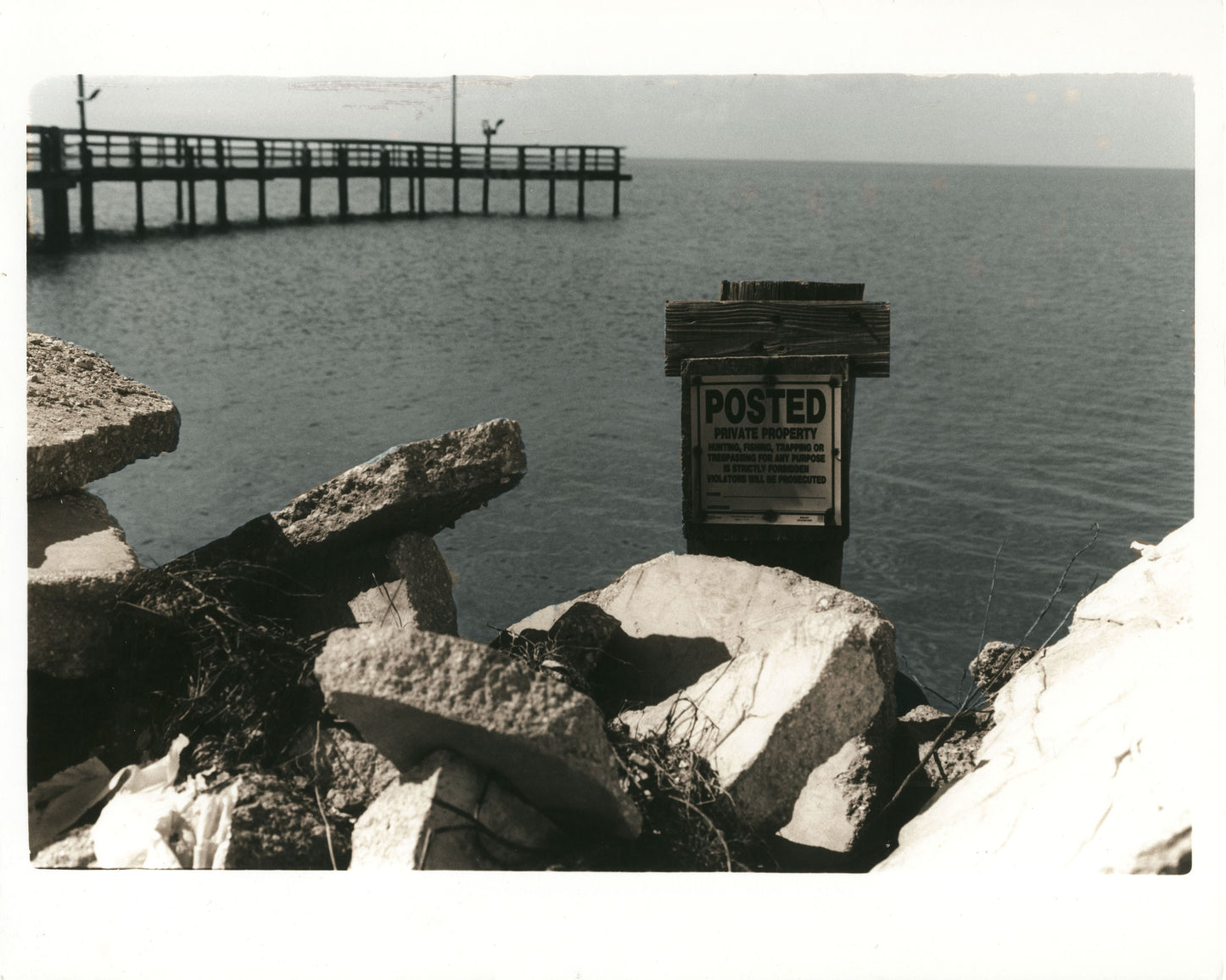 Rocky Shore