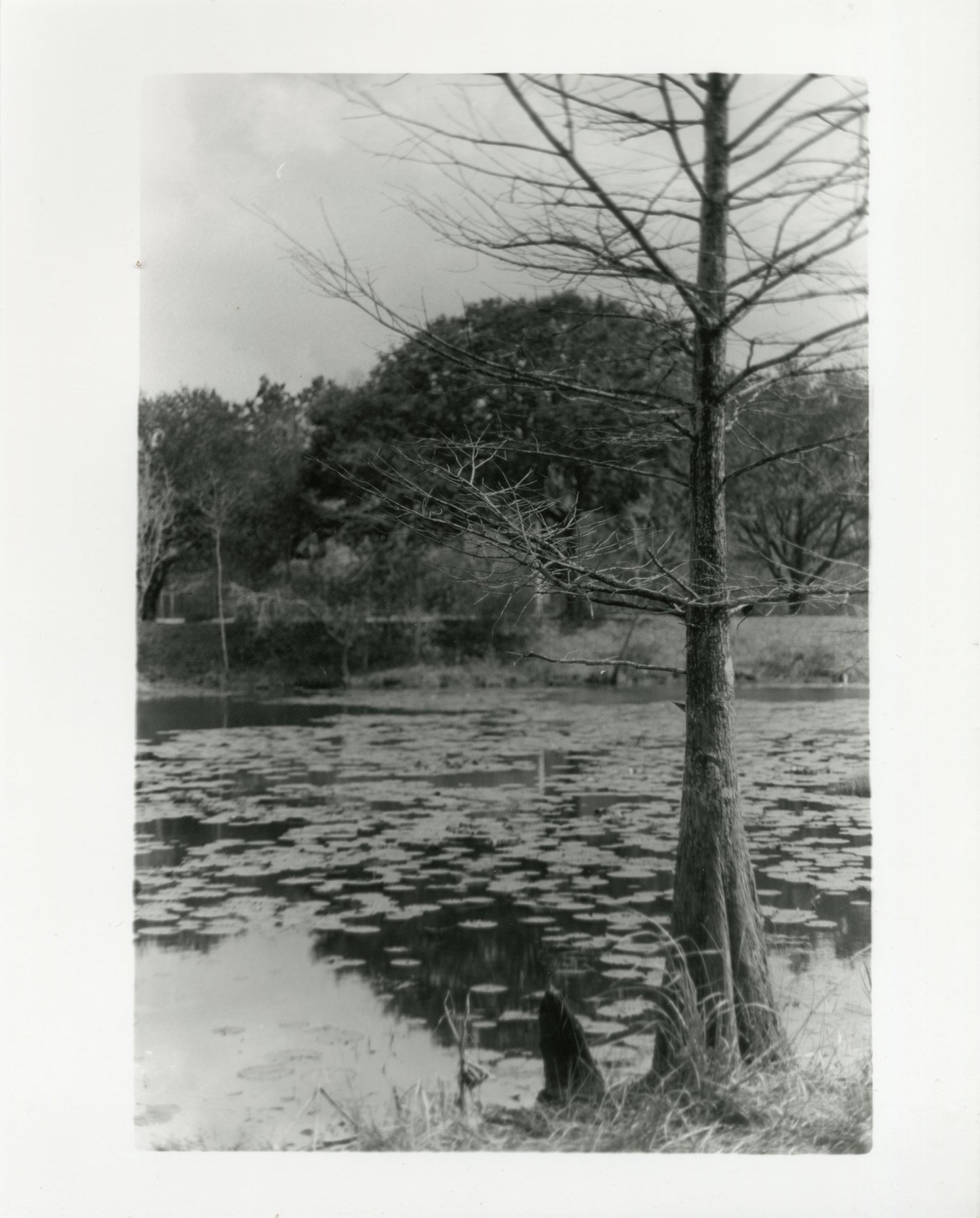 South Lake