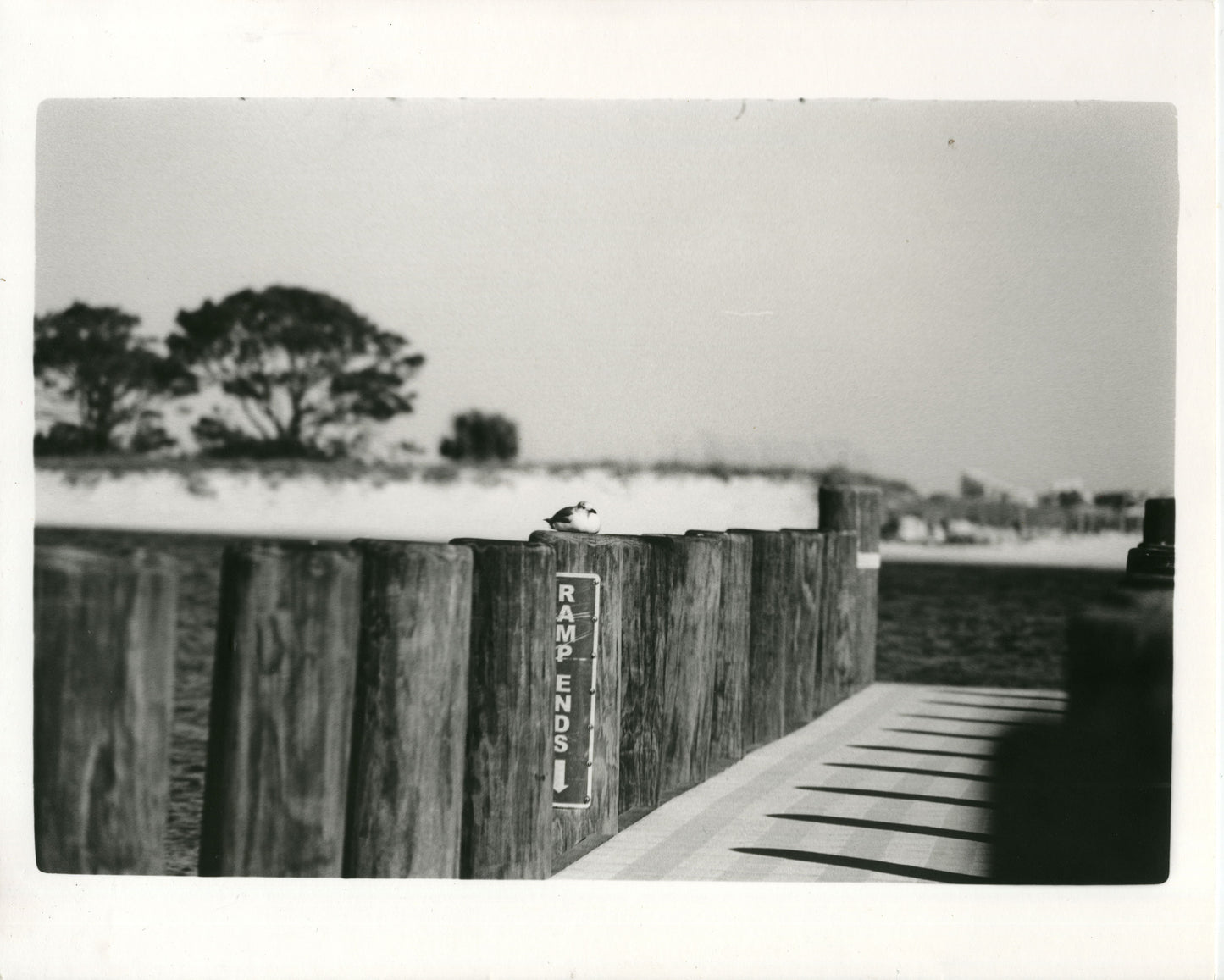 Boat Dock