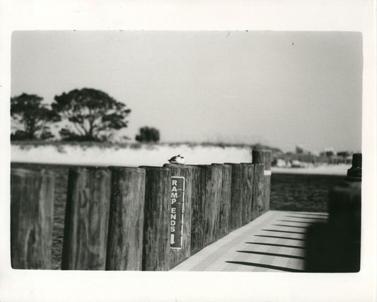 Boat Dock