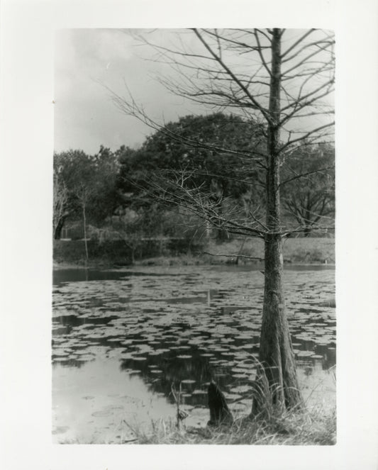South Lake